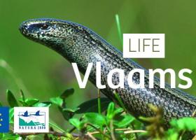 life_vlaams_veldgebied_-_header