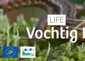 life_vochtig_haspengouw_-_header