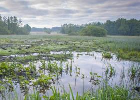ven_zwarte_beek_wim_dirckx