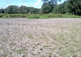 Droogte in Volsembroek