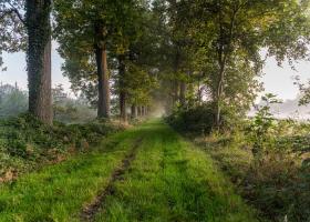 Hoogveld - Erwin Derous