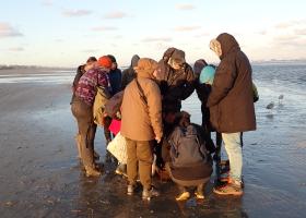 Strandwerkgroep België