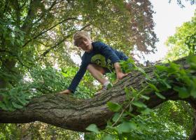 spelend kind in het groen