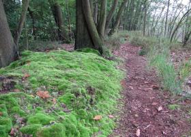 Het Goor-Asbroek