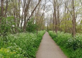 Oude Spoorwegberm