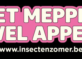 webbanner insectenzomer