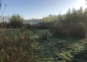Bijenreservaat Bos t' Ename