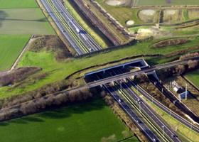Ecoduct De Munt - Groene knoop Meise