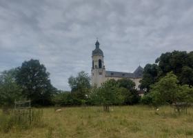 Vlierbeek