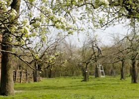 Natuur.huis Panneweel