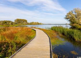 Plankenpad Schulensmeer