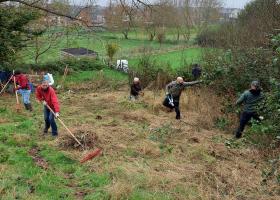 Beheer op de Helling in de Koeheide