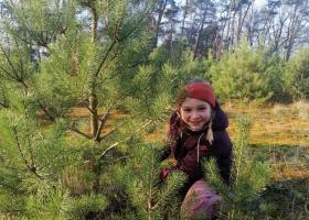 Kerstboom uit Landschap De Liereman
