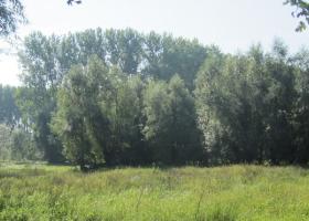 Gondebeekvallei
