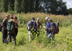 2016 - Wakona soortenzoekdag Durmemeersen