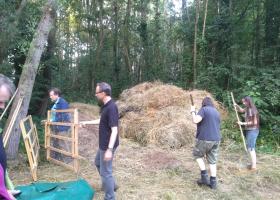 Maaibeheer_12Apostelen