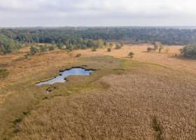 Kalmthoutse Heide