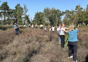 Natuurbeheer in Landschap De Liereman