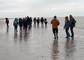 De Panne