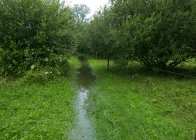Wijgmaalbroekwandeling