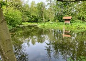 Zevenbergenbos 