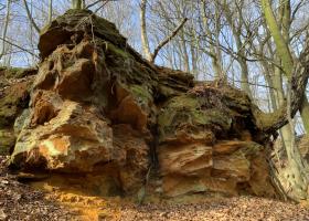 Bodemlagen in de Vlaamse Ardennen