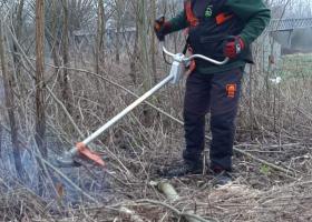 Beheerwerken Wellemeersen