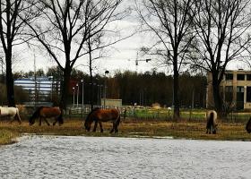 Campus Diepenbeek