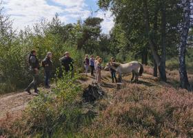 Grazerswandeling voor gezinnen