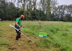 Beheerwerken Wellemeersen