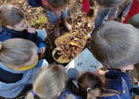 Natuurbeleving voor gezinnen