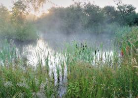 Vierkensbroek