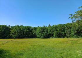 Plantenexcursie Gellikerheide