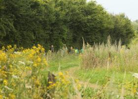 Zomerwandeling Dikkebus