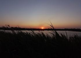 avond in natuurgebied de Blankaart