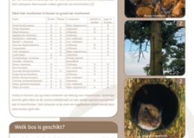 Technische fiche Vleermuizen in holle bomen