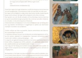 Technische fiche winterverblijfplaatsen vleermuizen