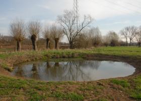 Kom wandelen in de Bomputten
