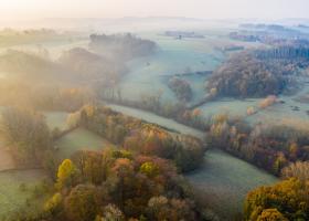 Burreken © Bart Heirweg