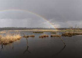 Vijvergebied De Luysen