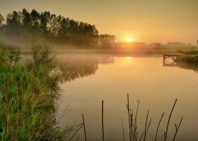 Natuurgebied van de Maand (2015/08): Demerbroeken