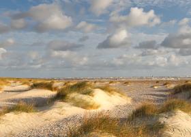 Duinen