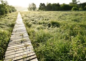 everbeekse bossen