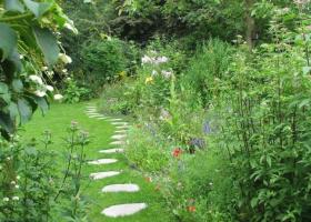 tuin