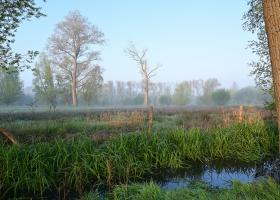 Keuzemeersen - Beelaertmeersen