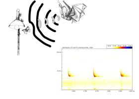 Handleiding Batdetector