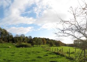 Overbroek