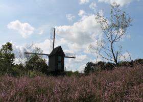 Molenheide