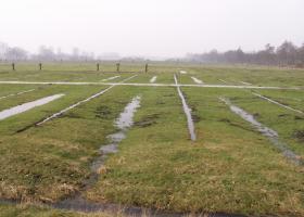 Vloeiweide